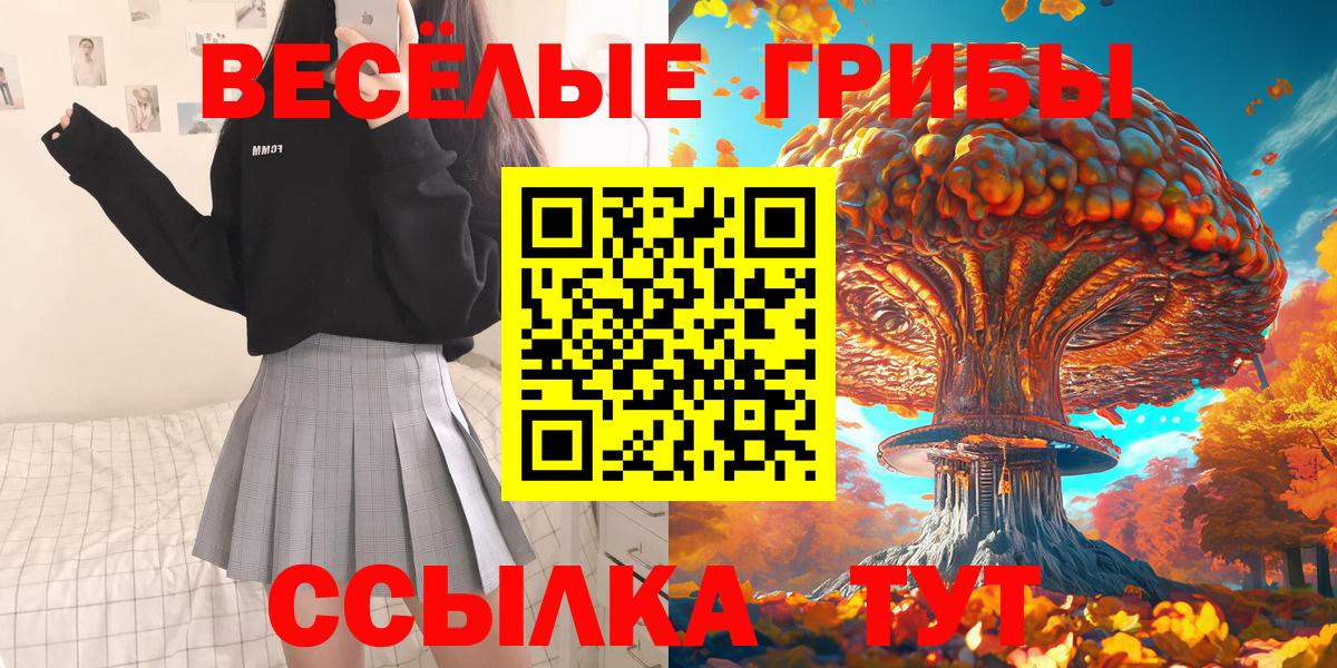 Псилоцибиновые грибы Psilocybine cubensis  Вход с VPN  Гай 