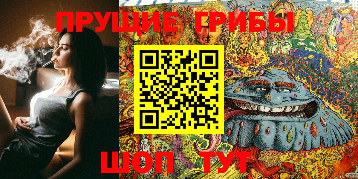 Галлюциногенные грибы GOLDEN TEACHER Гай